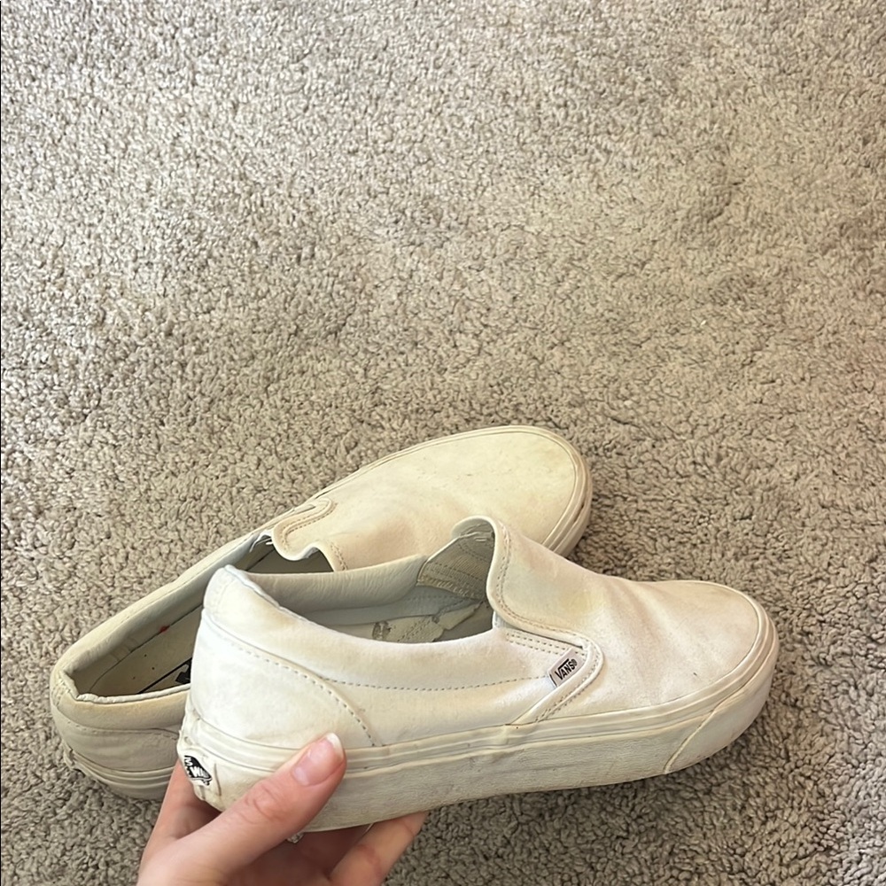 white vans
